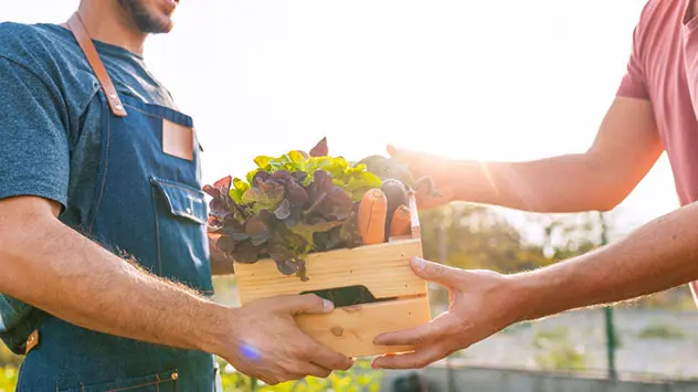 Mann übergibt Kiste mit Obst und Gemüse an Kunden
