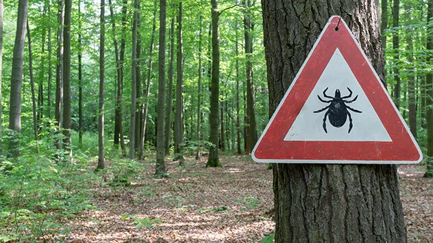 Warnhinweisschild für Zecken im Wald