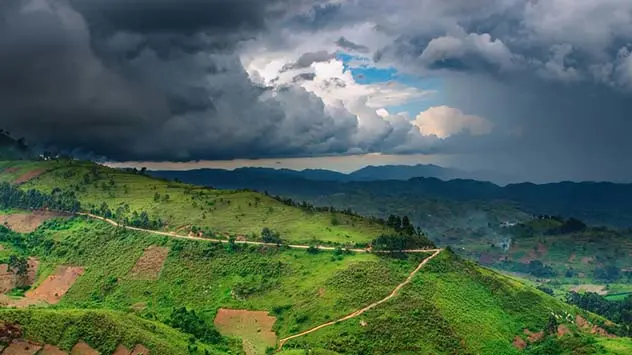Tageszeitenklima im tropischen Regenwald in Uganda