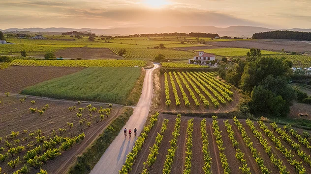 Fahrradfahren in Katalonien - Bild: Global Image Projects S.L Radfahrer unterwegs durch die Weinberge des Penedès.