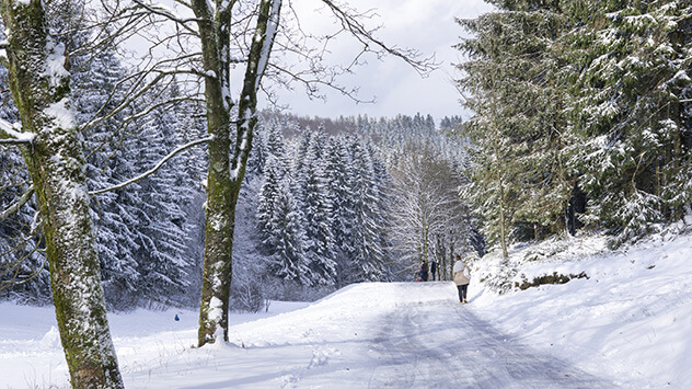 Spaziergängerin im verschneiten Wald