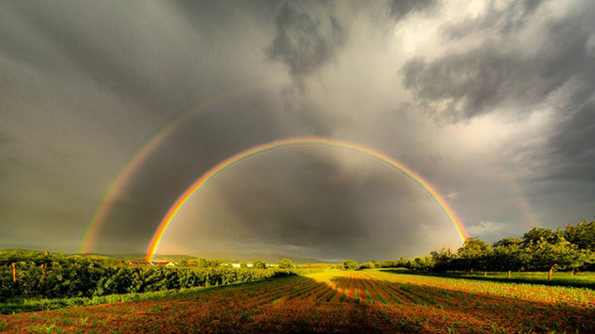 Know your rainbow: Do you know all the different types? – Weather News