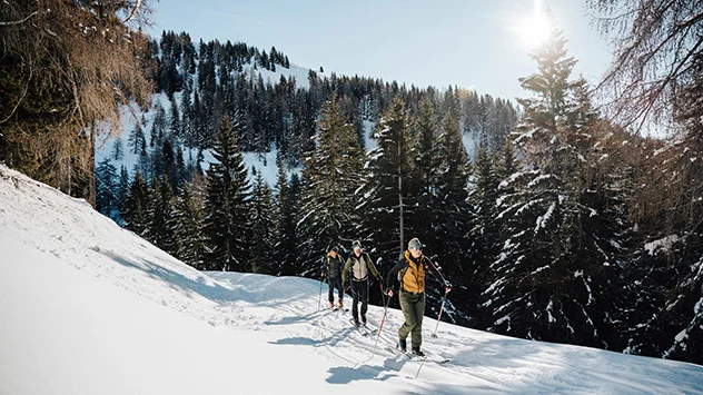 Skitourengeher  auf einer Tour durch bewaldetes Gebiet. 