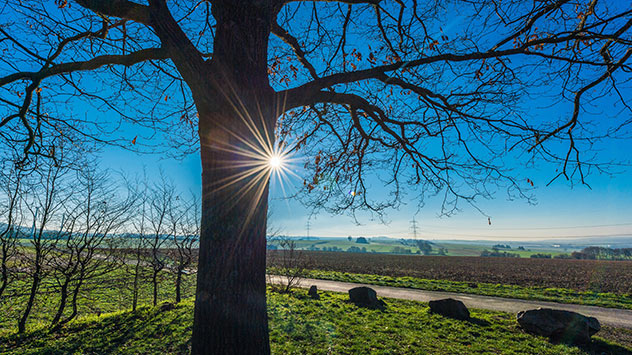 In Udenhausen strahlt die Sonne an einem Baum vorbei. Durch das Objektiv der Kamera entsteht ein richtiger Sonnenstern.  