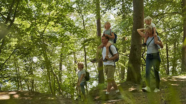 Familie beim Waldspaziergang auf Usedom