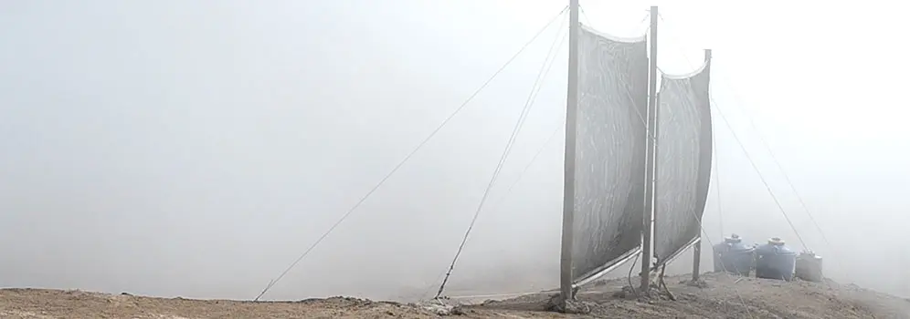 Bei Nebelfängern in der Atacama