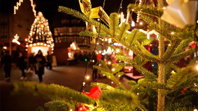 Geschmückte Weihnachtsbäume auf dem Alsfelder Marktplatz