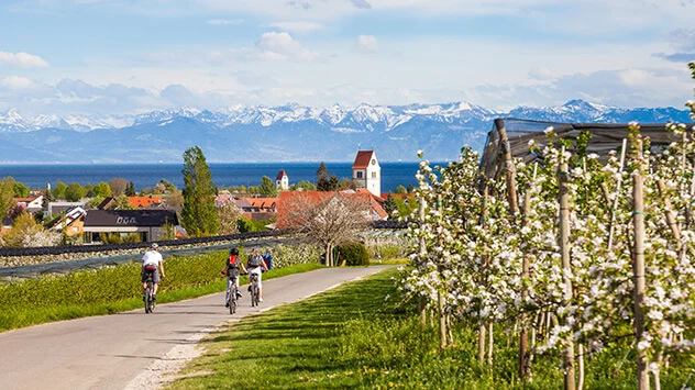 Radfahrer am Bodensee