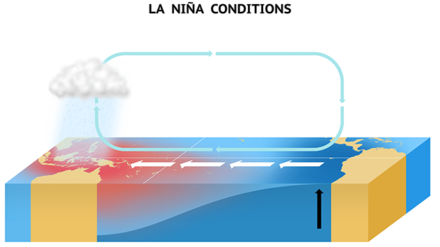 Der Warmwasserpool im Bereich von Indonesien wird bei La Nina größer. Das führt zu mehr Verdunstung und damit zu mehr Regenwolken. 
