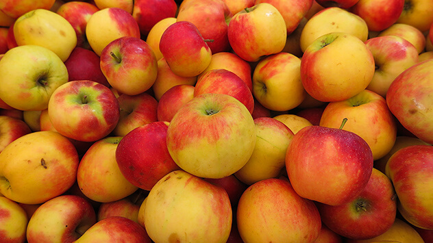 Neue und alte Apfelsorten: Der Wellant