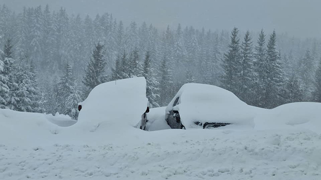 Fahrzeuge im Schnee 