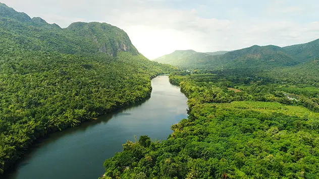 Dichter Wald entlang eines Fluss und auf steilflankigen Hügeln