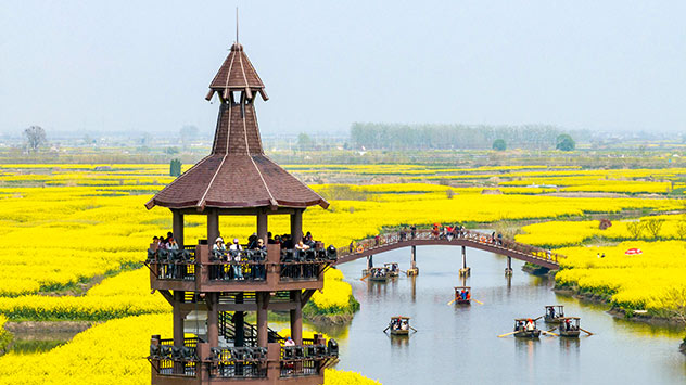In Xinghua in China kann man sogar eine Bootstour durch die Rapsfelder machen.