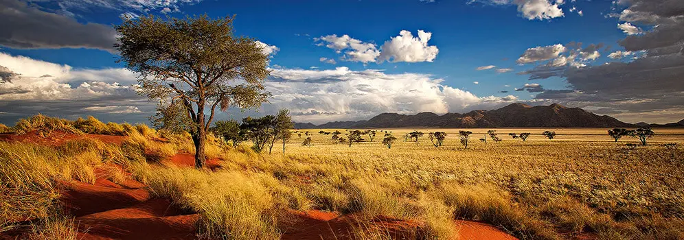 Wüste in Namibia