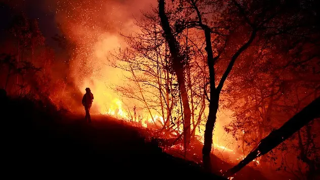 Firefighter observes large wildfire in forest
