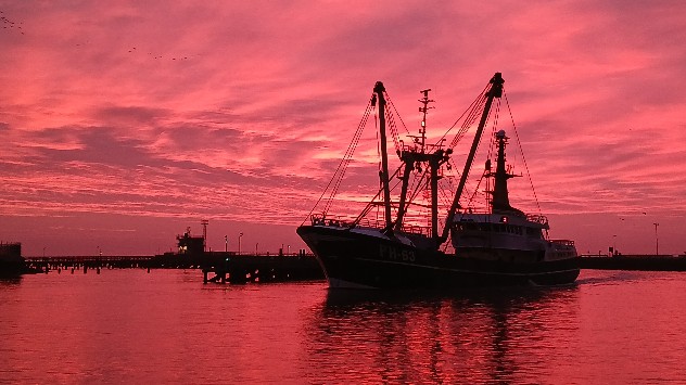 Ship at dusk