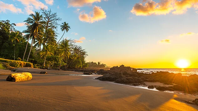 Sonnenuntergang über einem Strand mit Palmen