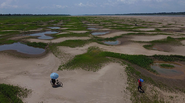 Das Amazonas-Gebiet wird immer mehr zu einer Steppe. 