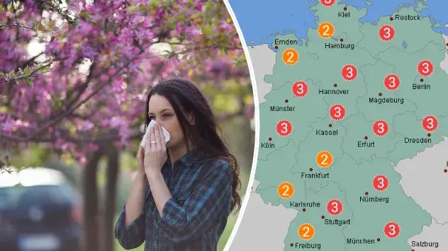 Frau schnieft vor blühendem Baum ins Taschentuch - Pollenflugvorhersage für Freitag