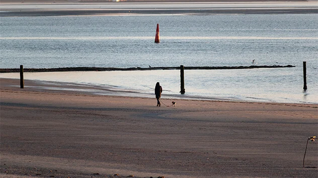 Spaziergänger mit Hund an der Wasserkante auf Norderney