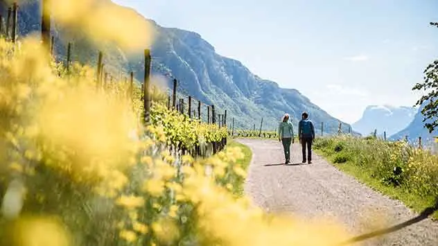 Ein Paar unterwegs auf einem Weinwanderweg