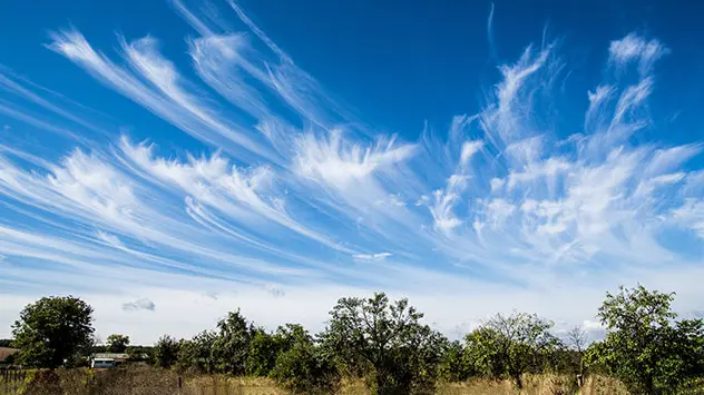 Hakenförmige Cirren (uncinus)  am blauen Sommerhimmel