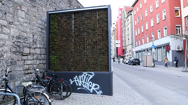 Tübingen hat eine Mooswand in der Innenstadt aufgestellt. Sie hilft die schlechte Luft zu reinigen.