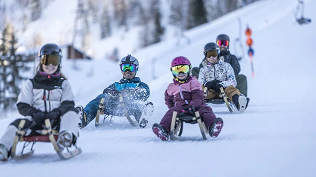 Kinder und Erwachsene rodeln auf Schlitten den Hang hinab. 