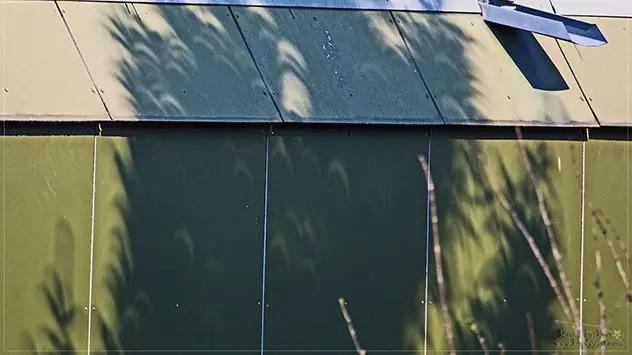 Bild: Jens Hackmann via instagram Sonnensicheln unter einem Baum während einer Sonnenfinsternis.