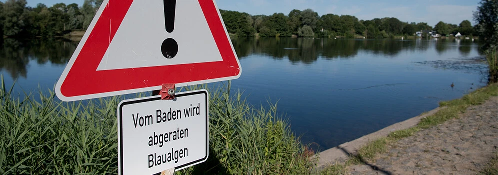 Warnschild vor Blaualgen an einem See