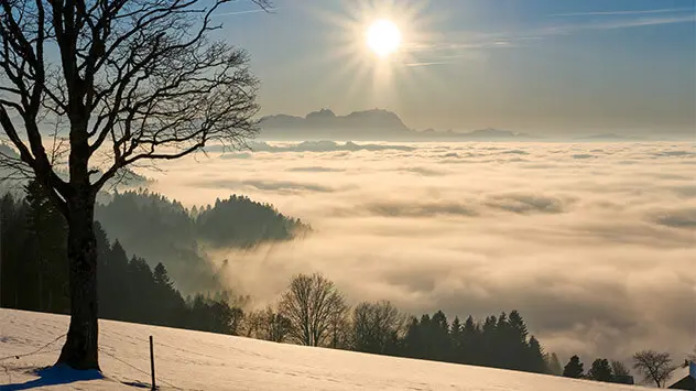 Nebel hängt in einem verschneiten Tag im Vorarlberg