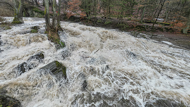 Regen und Schneeschmelze lassen auch die Pegel der kleinen Flüsse im Harz ansteigen