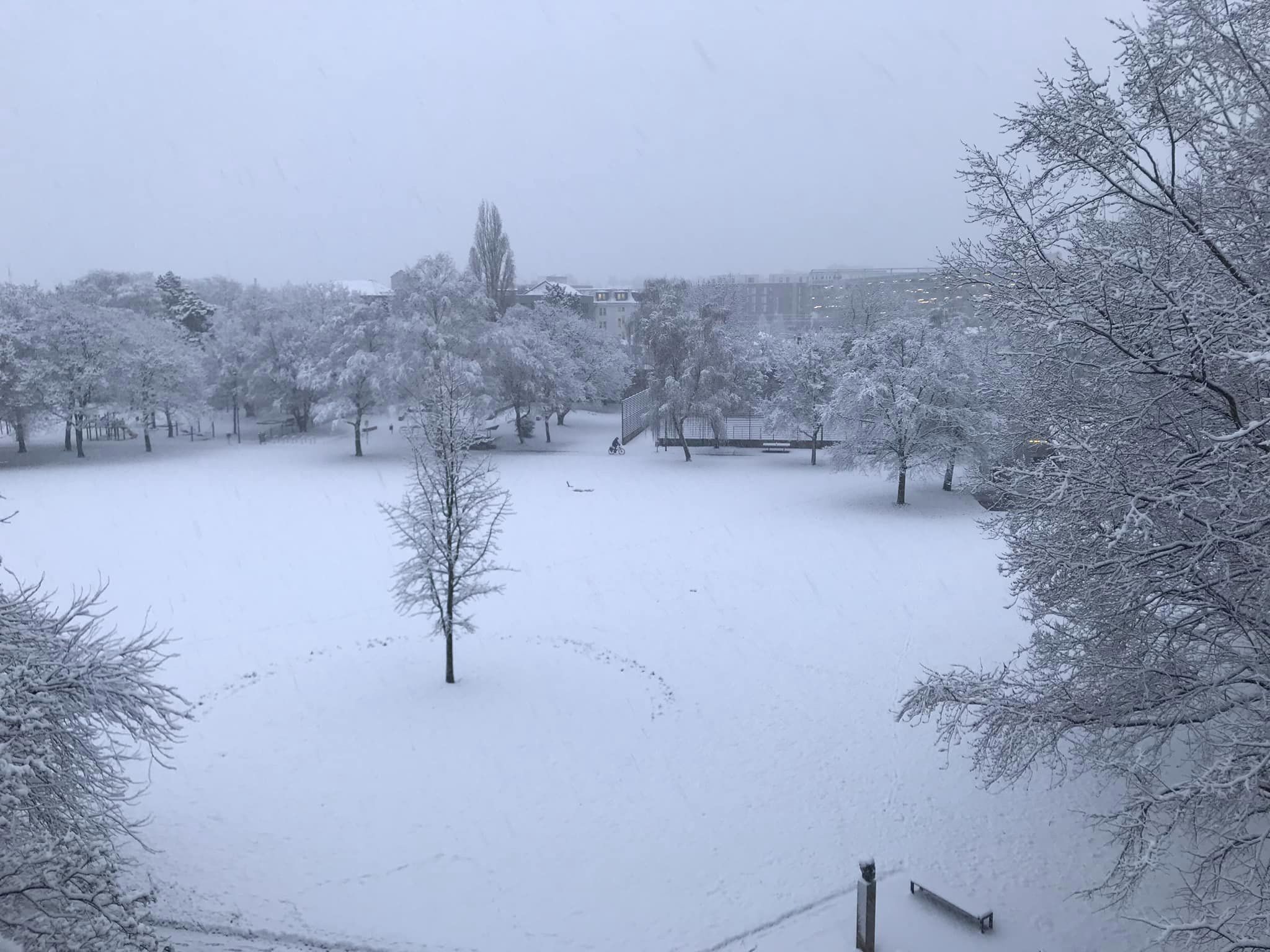 Schnee In NRW Bis Ins Flachland - Der Märzwinter In Bildern