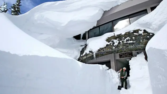 În Paradise Ranger din Parcul Național Mt. Rainier, clădirile rămân uneori îngropate în zăpadă.
