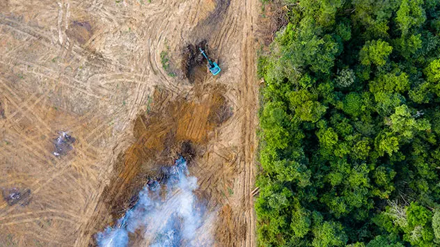 Luftbidl: Brandrodung im Regenwald mit Großmaschinen