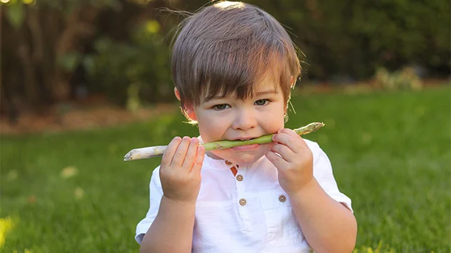 Kleines Kind isst grünen Spargel