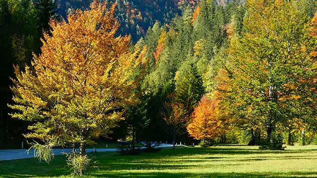 Herbst im Mostviertel