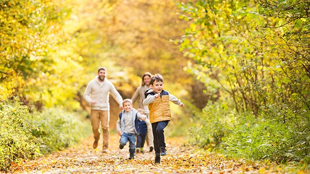 Familie geht im Herbst im Wald spazieren