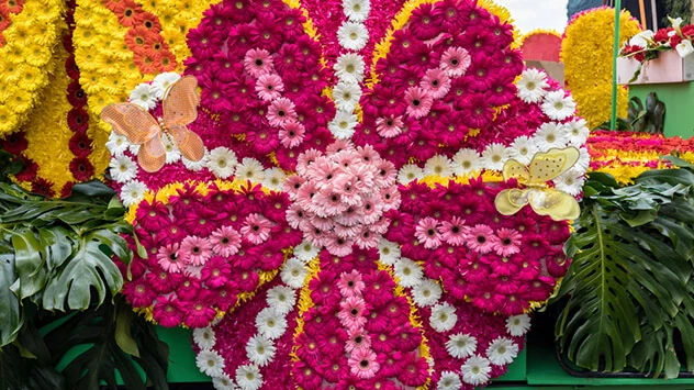 Pink-weißes Blumenbouquet beim Blumenfestival in Funchal