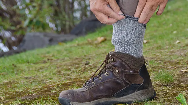 Chiar dacă nu este ultima tendință în materie de modă, e bine să trageți șosetele peste pantaloni atunci când mergeți prin iarbă înaltă.