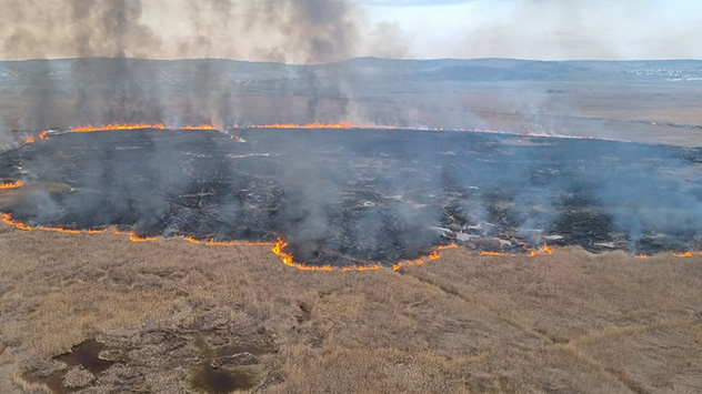 200 Hektar Schilf fallen den Flammen zum Opfer.