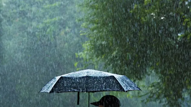 rainfall on umbrella