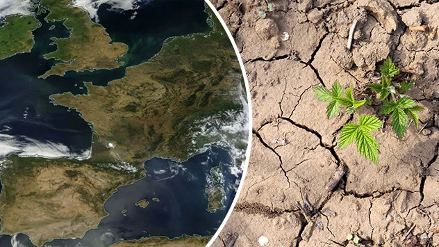 Das Satellitenbild von Mitte August zeigt für weite Teile Europas trockene Böden.