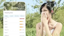 Frau reagiert auf Gräserpollen mit Niesen - Taschentuch / Pollenvorhersage für Wien