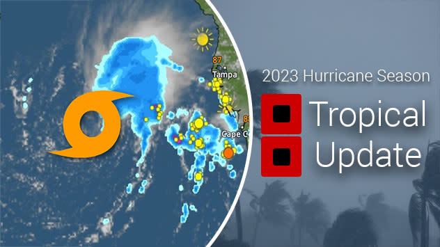 Tropical Storm Arlene has formed in the Gulf of Mexico Weather News