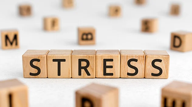 Holzsteine mit Buchstaben bilden das Wort "Stress"