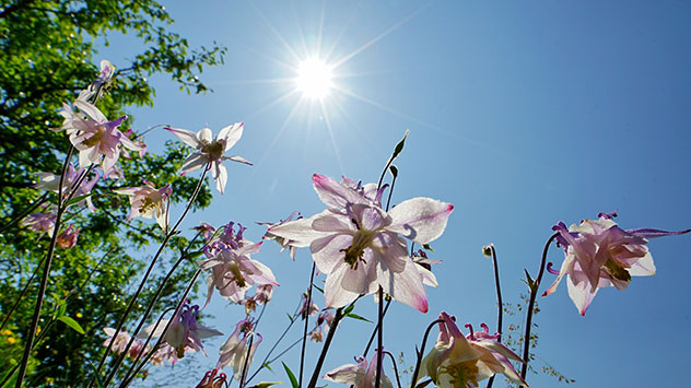 In sehr angenehm trockener Luft lässt sich der Sonnenschein vollends genießen. 