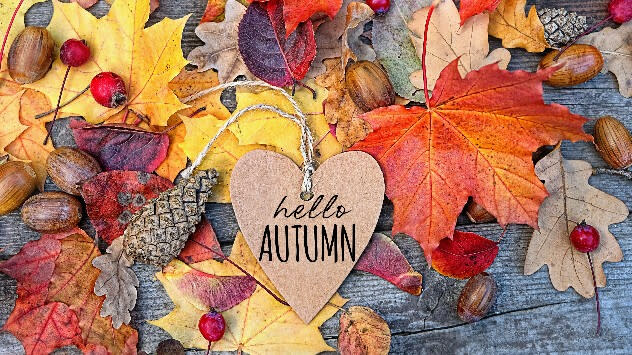 Fall is officially here! – Weather News