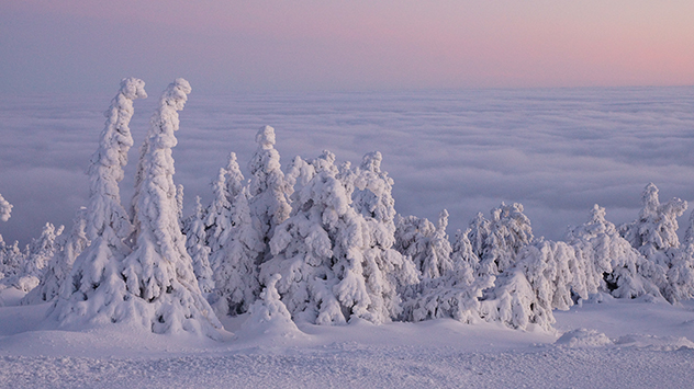 Vom Brockengipfel im Harz aus erblickt man ein fantastisches Nebelmeer. Die Landschaft könnte märchenhafter nicht sein.