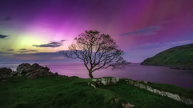 Violette und grüne Polarlichter über der irischen Küstenlandschaft bei Nacht.